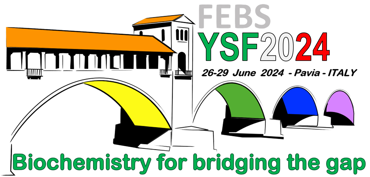 YSF 2024 logo